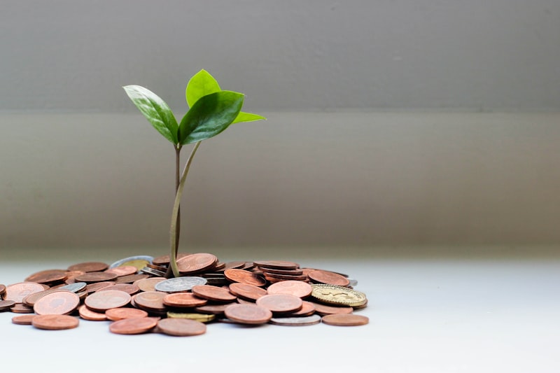 Gestion de trésorerie professionnelle en euros